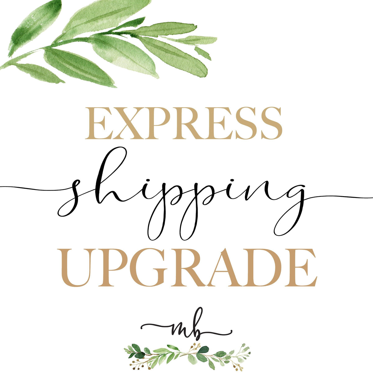 Express Shipping Upgrade From Priority - Add To Purchase