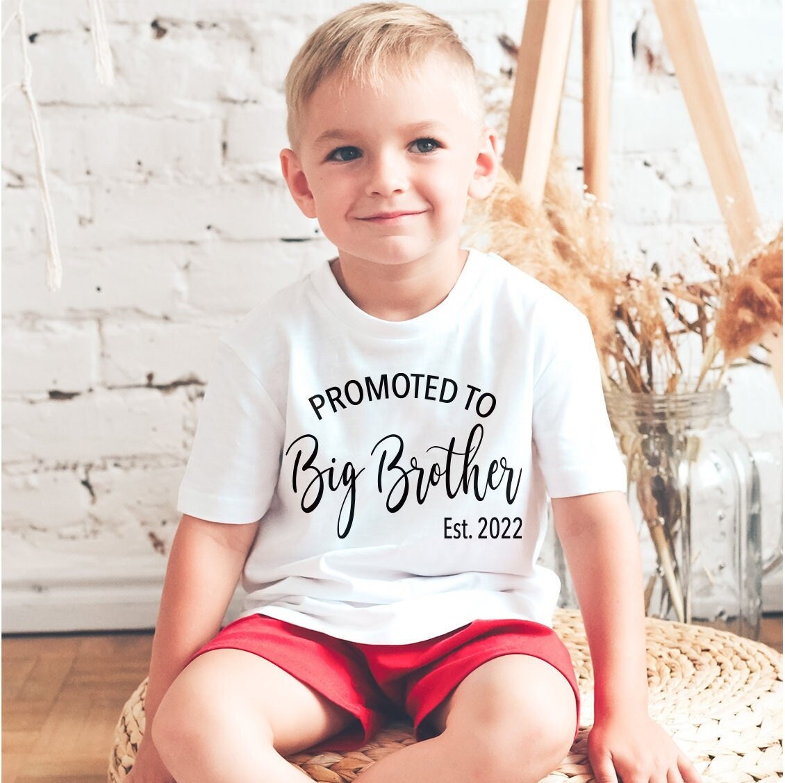 Promoted to Big Brother Shirt: New Baby Announcement Outfit