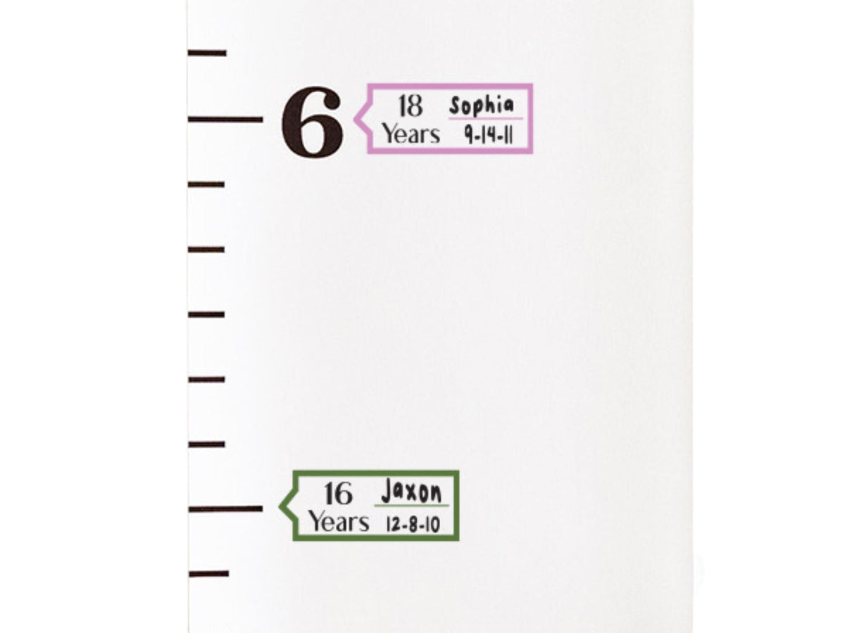 Milestone Growth Chart Labels – Personalized Nursery Decor, Kids Room Wall Art, Baby Milestones, Baby Shower Gift, New Baby Gift