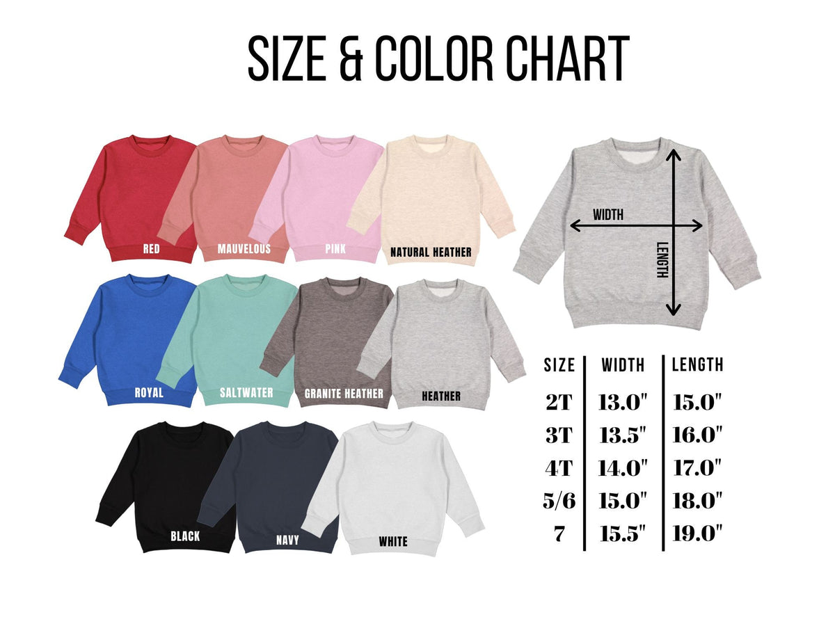 Retro Big Sister Toddler Sweatshirt - Pink Pregnancy Reveal Shirt