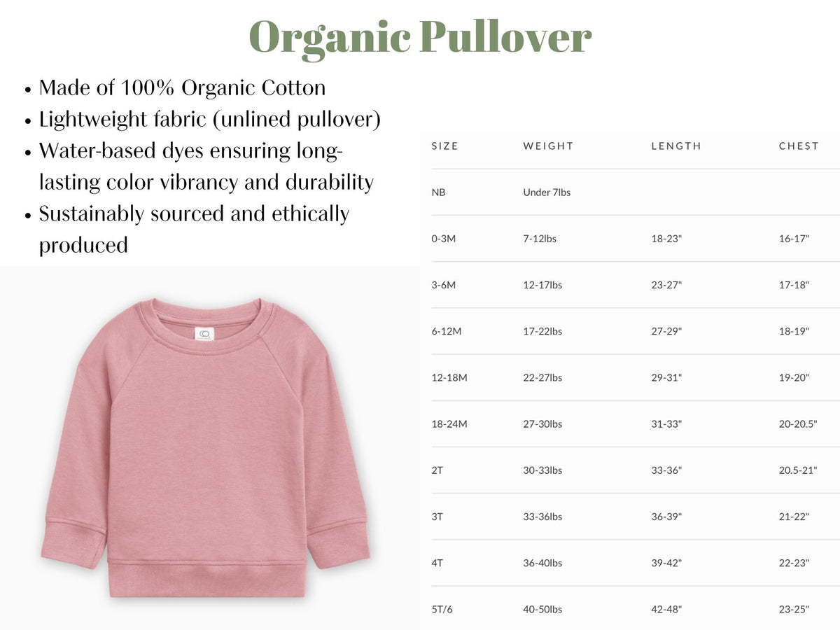 Organic Cotton Babyhood University Pullover: Lightweight Sibling Shirt