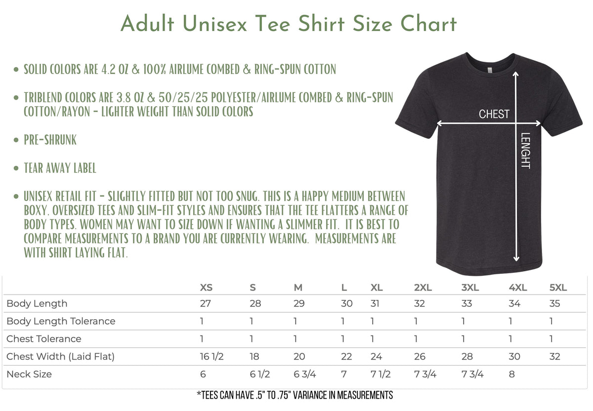 Sibling Shirts: Big Sister, Little Sister, Newborn Outfit